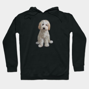 A Cream Colored Labradoodle Puppy - Just the Dog Hoodie